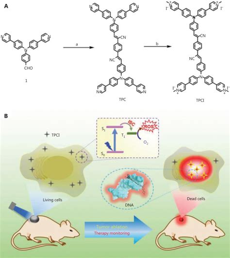 Recent progress of nanotechnology-based theranostic systems in cancer ... 