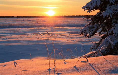 Solstice Dhiver Trois Choses Savoir Sur Le Jour Le Plus Court De L