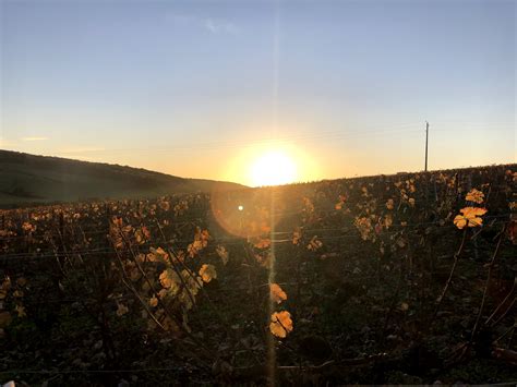 Demande D Informations Champagne Jean Yves Roulot