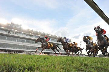 Singapore Turf Club: Horse Racing 2021