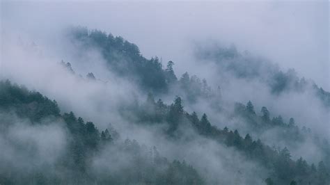 Appalachian Mountains Disappearances - Jhu Innovations