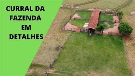 O Curral Da Fazenda E Suas Funcionalidades YouTube