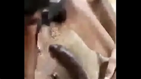 Tamil Gay Sucking Xxx Mobile Porno Videos Movies IPornTV Net