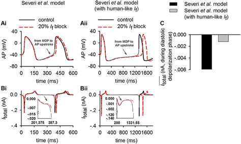 Frontiers The Functional Role Of Hyperpolarization Activated Current