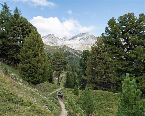 Hiking in Swiss parks