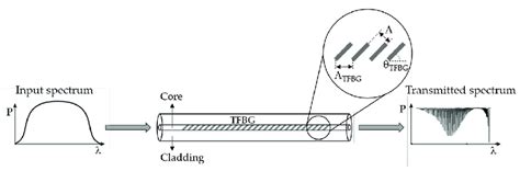 Schematic Representation Of A Tfbg Download Scientific Diagram