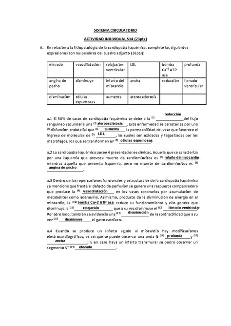 Tarea Academica S Sistema Circulatorio Actividad Individual S