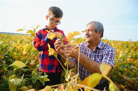 L Agriculture Familiale Grand P Re D Agriculteurs Avec Petit Fils Sur