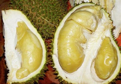 Taste Test: Durian - Boing Boing