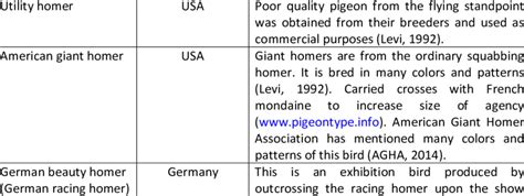 Homer pigeons with their features Name of breeds Origin Features ...