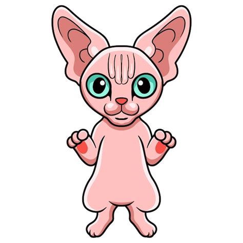 Pie De Dibujos Animados Lindo Gato Sphynx Vector Premium