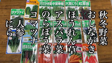 8月から10月に育てられる秋冬野菜栽培！園長おすすめ秋冬野菜の種まきはコレ！【家庭菜園】 22816 Youtube