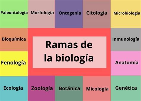 Ramas de la biología cuáles son y qué estudian Significados