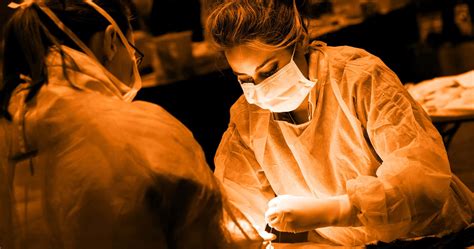 Small Animal Ultrasound | NAVC Institute