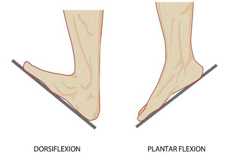 Achilles Tendinopathy Part 2 Prosper Podiatry