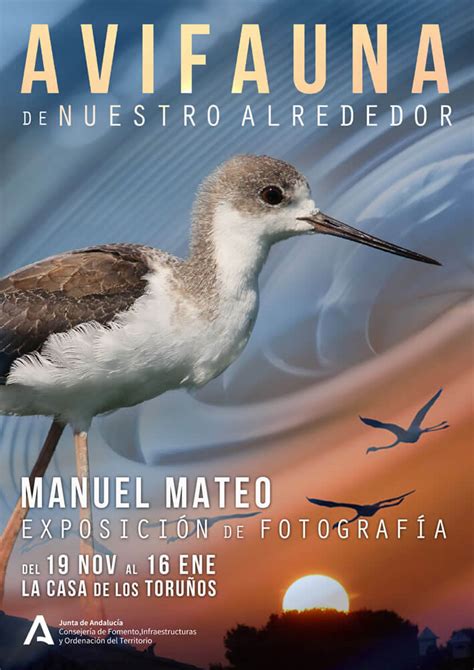 Parque De Los Toru Os Avifauna De Nuestro Alrededor Exposici N