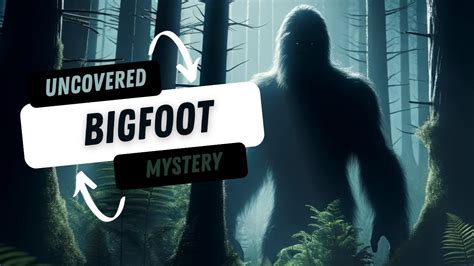 Bigfoot Uncovered A Deep Dive Into The Sasquatch Mystery Youtube