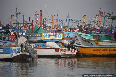 Barcos De Pesca Pisco Ancorados Na Ba A De Paracas Foto De Peru