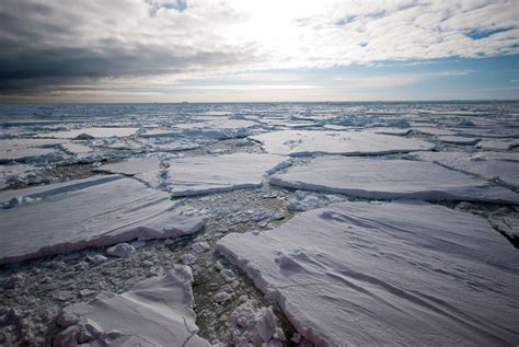 Ice floes – Australian Antarctic Program