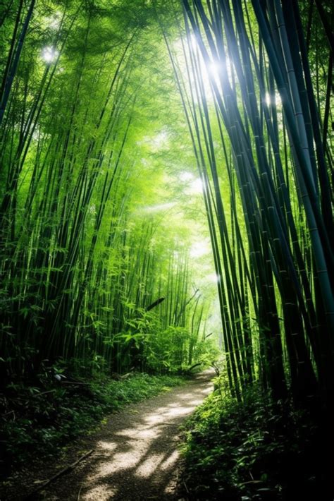 摄影自然风景素材 摄影自然风景模板 摄影自然风景图片免费下载 设图网