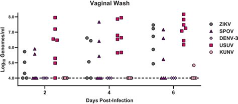 Zika Virus Replicates In The Vagina Of Mice With Intact Interferon Signaling Journal Of Virology