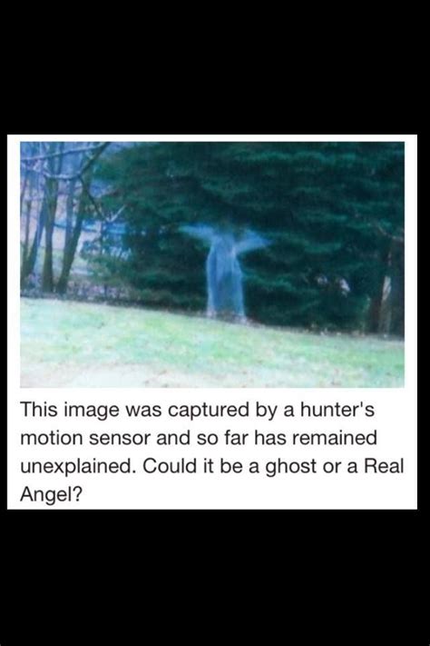 5 Angels Caught On Camera Flying Spotted In Real Life Artofit