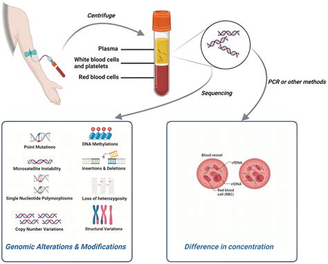 Frontiers Circulating Tumor Dna From Discovery To Clinical