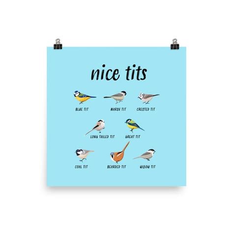 Nice Tits Funny Bird Watching Poster Christmas Gift For Etsy