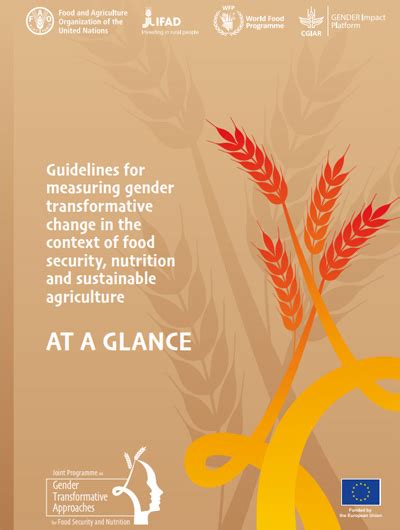 Guidelines For Measuring Gender Transformative Change In The Context Of