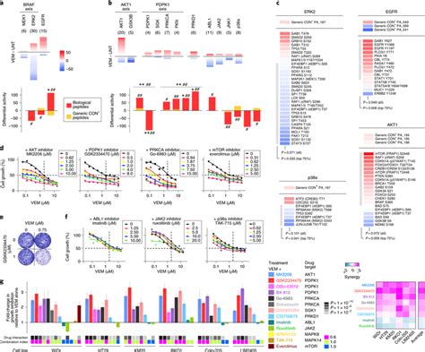 Mapping The Phospho Catalytic Signatures Of BRAFV600E Therapy Resistant