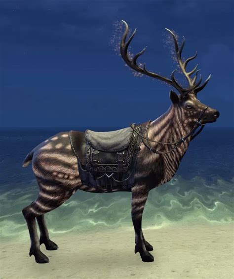 Eso Fashion Hailcinder Vale Elk Elder Scrolls Online