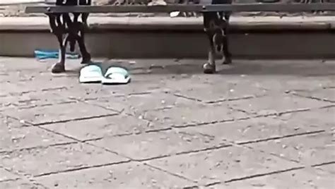 Tentando Free Gay Porn Video Xhamster