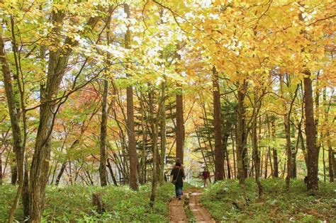 Nikko Fall Foliage 2024 15 Best Spots To View Autumn Colors In Japan