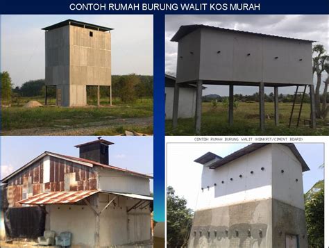 25 Rumah Burung Walet ideas | pet birds, beautiful birds, kuala terengganu