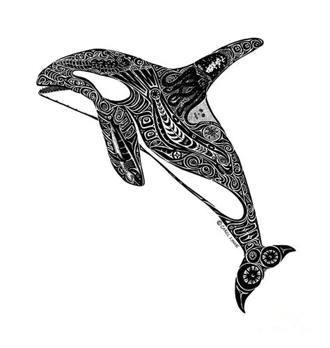 Tribal Orca Drawing by Carol Lynne - Pixels