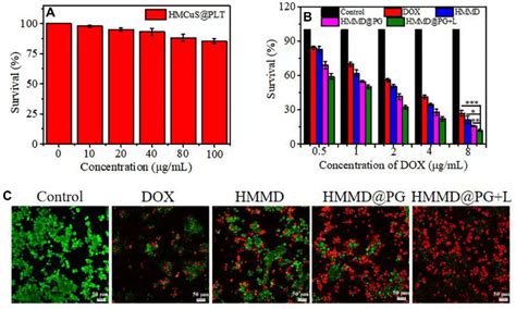 In Vitro Cytotoxicity Study A Cell Viability Of 4T1 Cells Treated