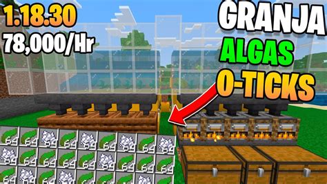 Granja De Algas Y Polvo De Hueso 0 Ticks Minecraft Bedrock 1 18 30