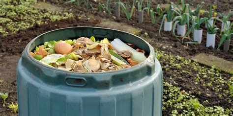 Best And Worst Compost Bins Which