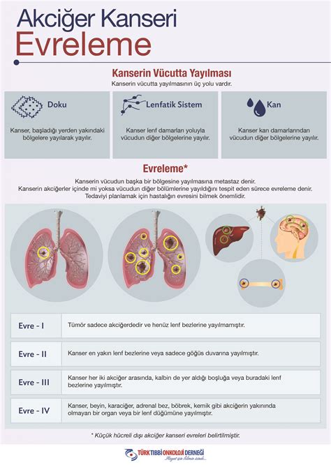 Türk Tıbbi Onkoloji Derneği Toplum Bilgilendirme Sitesi