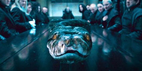 Voldemort's Horcruxes, Ranked Least To Most Evil