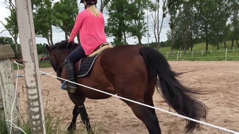 Caretto - programridning 20/6 - YouTube