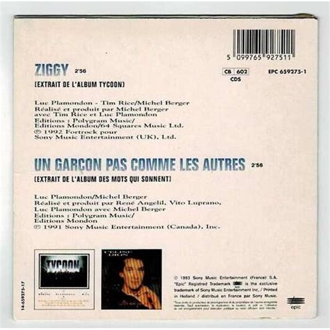 Ziggy extrait de tycoon un garçon pas comme les autres de Dion