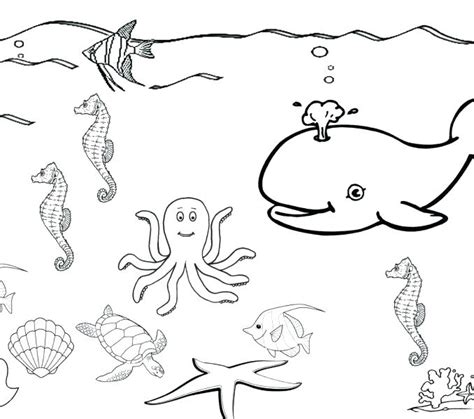 Leopard Seal Coloring Pages At Getcolorings Free Printable