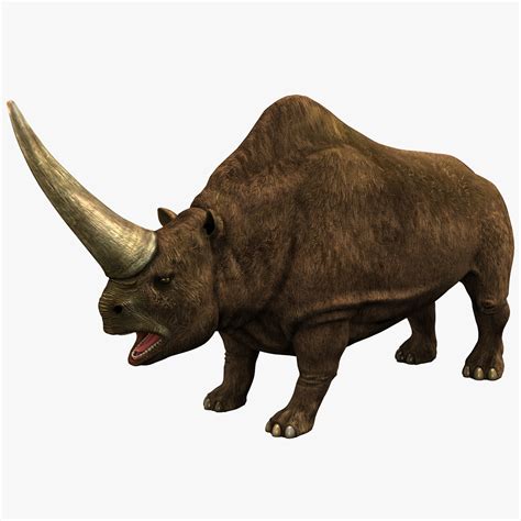 elasmotherium 2 rigged 3d