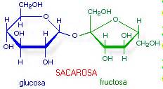 Determinaci N Enzim Tica De Sacarosa Monografias