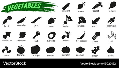 Collection of vegetable icons with names set Vector Image