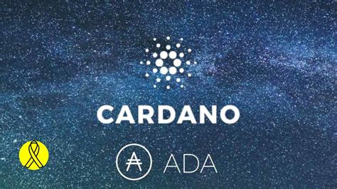 What Is Cardano Used For Defi Future