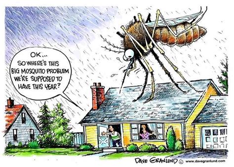 25 Best Images About Silly Mosquito Jokes On Pinterest 255