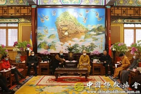 中国佛教协会召开专题会议传达学习王沪宁和石泰峰的讲话精神统战