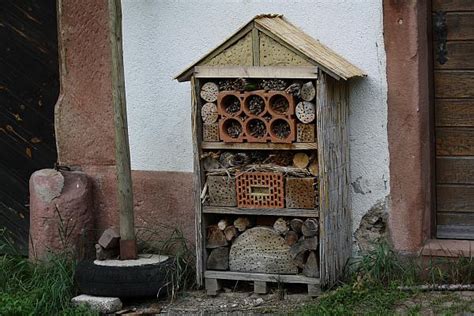 Insektenhotel Wildbienhotel Selber Bauen Nisthilfe F R Wildbienen